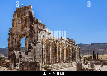 Ruinen der römischen Basilika von Volubilis, einem UNESCO-Weltkulturerbe, in der Nähe von Meknes und Fes, Marokko Stockfoto