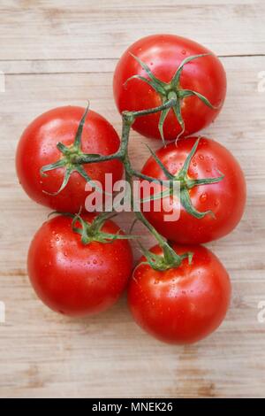 Frisch gewaschene Strauchtomaten (von oben gesehen) Stockfoto