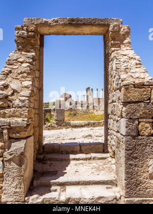 Ruinen der römischen Basilika von Volubilis, einem UNESCO-Weltkulturerbe, in der Nähe von Meknes und Fes, Marokko Stockfoto