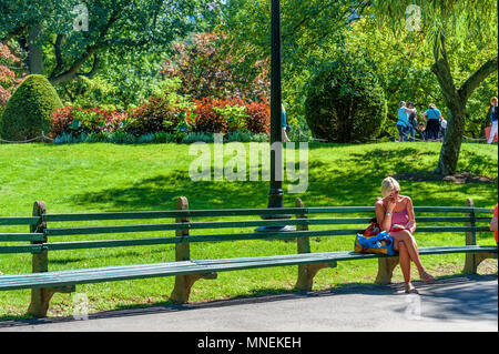 Boston, Massachusetts, USA - 12. September 2016: Eine Dame sitzt auf einer Parkbank ein Buch lesen in Boston Public Garden, in Boston, Massachusetts Stockfoto