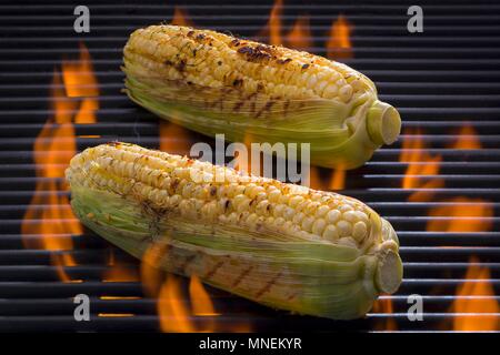 Erfahrene Mais-auf-die-Cob auf einem Grill Stockfoto