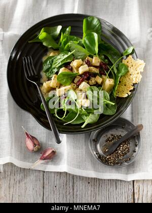 Ein winter Salat mit Sellerie, Spinat, getrocknete Cranberries, Parmesan Chips und ein Dijon Senf Dressing Stockfoto