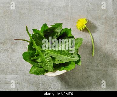 Eine Schale mit frischem Löwenzahn Blätter auf grauem Stein Oberfläche Stockfoto