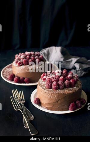 Kuchen mit Schokolade und Himbeeren Stockfoto