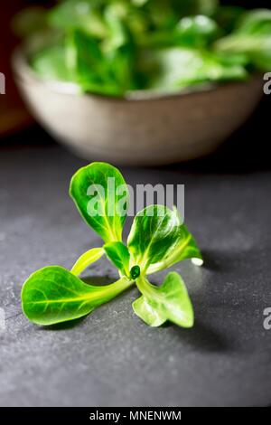 Feldsalat in und vor einer Schüssel Stockfoto