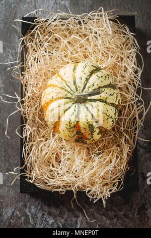 Ein Kürbis auf Stroh (von oben gesehen) Stockfoto