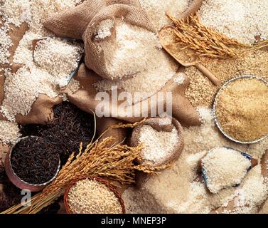 Verschiedene Arten von Reis und Ähren (Ansicht von oben) Stockfoto