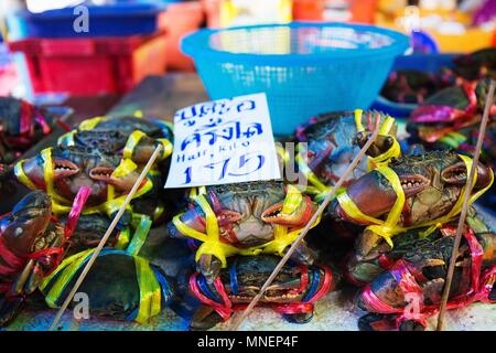 Gebunden Krabben mit einem Preis zu einem Fischmarkt, Thailand Stockfoto