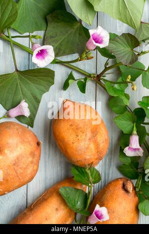 Süßkartoffeln mit Blätter und Blumen Stockfoto