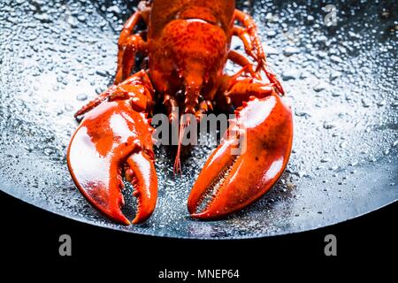 Eine große Hummer in einem schwarzen Wok Stockfoto