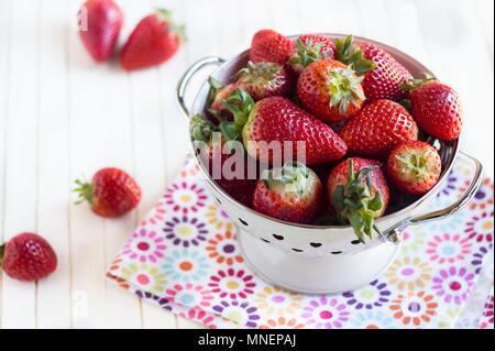 Frische Erdbeeren in ein Sieb Emaille Stockfoto