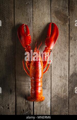Gekochte Hummer auf einem Holztisch Stockfoto