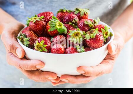 Hände, die Schale mit frischen Erdbeeren Stockfoto