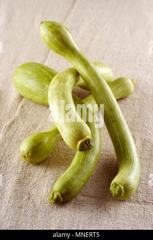Zucchine Zucchini Trombetta (Italienisch) Stockfoto
