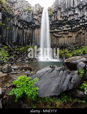 Berühmte Svartifoss Wasserfall Stockfoto