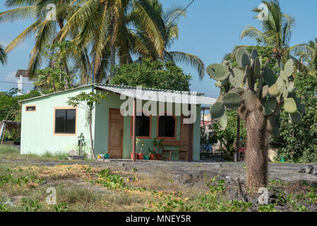 Neues Haus in Puerto Villamil, Isabela Island, Galapagos, Ecuador. Stockfoto