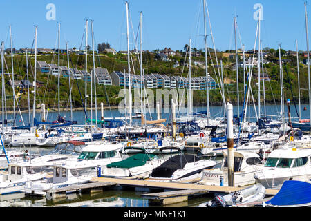 Ponton mit Yachten und Boote mit bunten Häuser auf einem Hügel im Hintergrund bei Kinsale Irland Yacht Club günstig Stockfoto