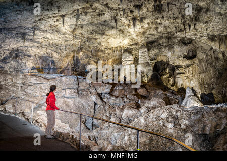 Touristische in Carlsbad Caverns, New Mexico, USA Stockfoto