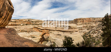 Panorama der Wanderer, Sipapu Bridge, und Landschaft im Natural Bridges National Monument, Utah Stockfoto