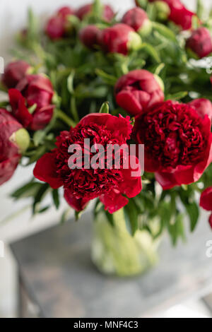 Schöne Blumen im Glas Vase. Schönen Blumenstrauß aus roten Pfingstrosen. Florale Komposition, Szene, Tageslicht. Hintergrundbild Stockfoto