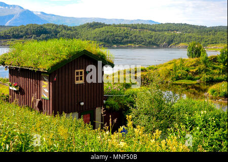 Traditionelle Gras bedeckte Dach der kleinen Holzhütte, umgeben von einem üppigen grünen Landschaft am Rande des Wassers umgeben Stockfoto