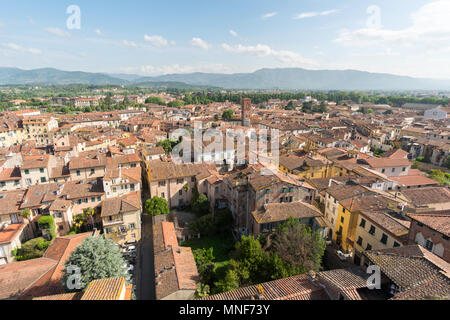 Ansicht von der Oberseite der Torre Guinigi, Lucca, Toskana, Italien, Europa Stockfoto