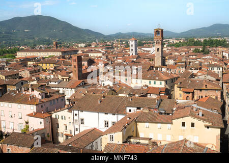 Ansicht von der Oberseite der Torre Guinigi, Lucca, Toskana, Italien, Europa Stockfoto