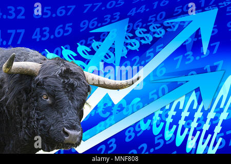 Bull, symbolisches Bild von steigenden Preisen, Börse, steigende Zahlen, Pfeile, Geld, Wachstum, Aktienhandel Stockfoto