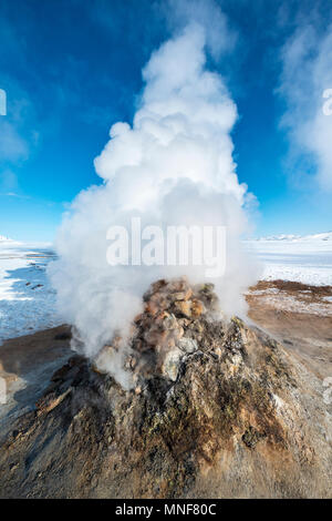 Dampfende Fumarole, Solfatara in Hverarönd, auch Hverir oder Namaskard, Geothermie, North Island, Island Stockfoto