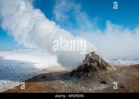 Dampfende Fumarole, Solfatara in Hverarönd, auch Hverir oder Namaskard, Geothermie, North Island, Island Stockfoto