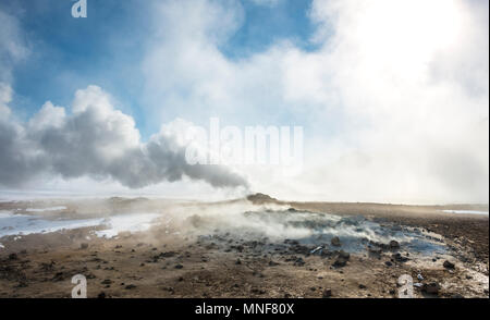 Aufsteigenden Dampf aus einer Fumarole, geothermale Region Hverarönd, auch Hverir oder Namaskard, North Island, Island Stockfoto