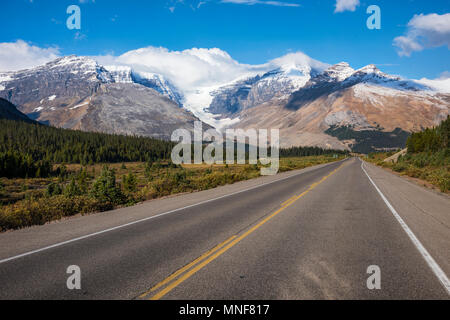 Blick vom Icefields Parkway, Autobahn 93, Dome Gletscher, Columbia Icefield, Mount Kitchener, Jasper National Park, Rocky Mountains Stockfoto