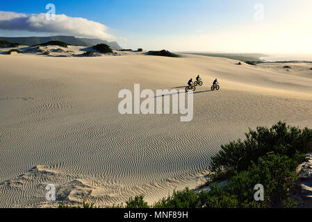 Mountainbiken mit Fett Leihfahrräder auf Sanddünen, Radfahren, Naturschutzgebiet, De Kelders, Gansbaai, Western Cape, Südafrika Stockfoto