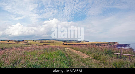 Die Cleveland Weise Küstenweg Richtung Norden in Richtung Langen Nab und ab, in der Nähe von Crook Ness auf der North Yorkshire Küste in der Nähe von Scarborough. Stockfoto