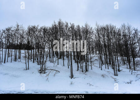 Bergige Gegend in Canfranc Tal in den Pyrenäen in der Nähe der Bevölkerung von Jaca (Aragon) Foto: Eduardo Manzana Stockfoto