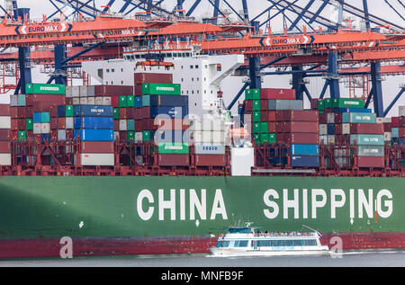 Der Hafen von Rotterdam, Niederlande, Maasvlakte 2 Deep Sea Port, auf einer künstlich konstruierte Fläche vor der ursprünglichen Küste, Euromax Co Stockfoto