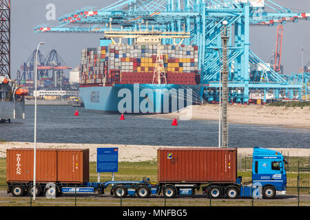 Der Hafen von Rotterdam, Niederlande, Deep Sea Port Maasvlakte 2, auf einer künstlich geschaffenen Land Bereich vor der ursprünglichen Küste, APM-Container Stockfoto