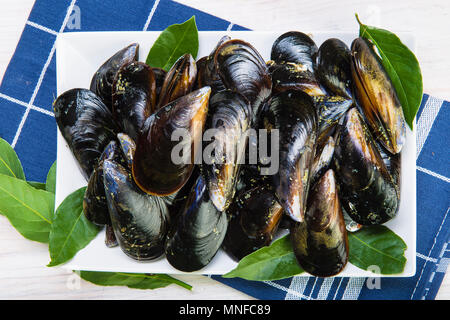Frisch und lebendig Muscheln für gereinigt Kochen und fertig gedämpft werden Stockfoto