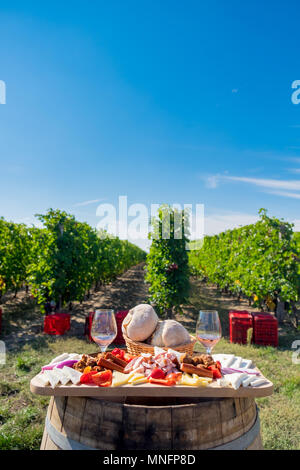 Traditionelles Essen Platte mit Wein und Weinberge im Hintergrund. Käse, Brot, Wurst, Zwiebeln und roter Wein im Glas Stockfoto