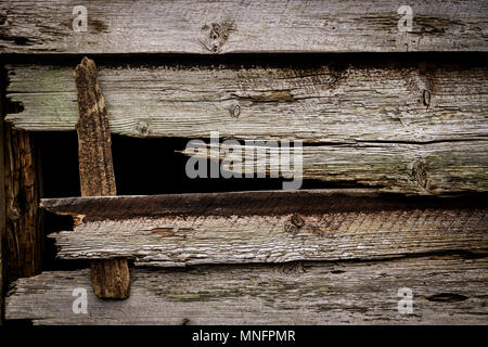 Verrotten Wand einer Holzhütte Stockfoto