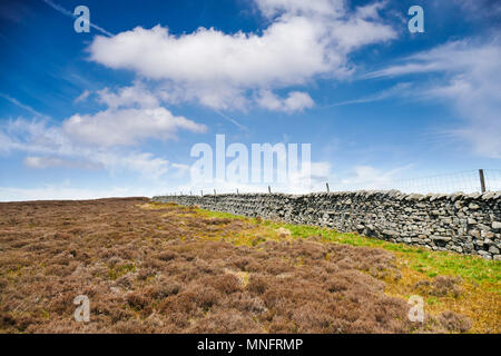 Moor- und trockenen Steinmauer in Lancashire Stockfoto