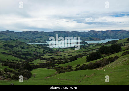 Panoramablick auf die Bucht von Akaroa in Neuseeland. Stockfoto