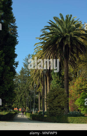 Parque de la Alameda im Frühjahr. Santiago de Compostela, Galizien, Spanien, Europa Stockfoto