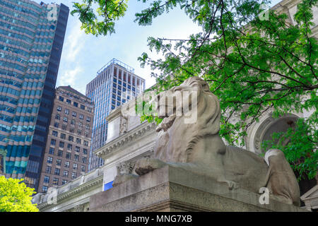 Löwen bewacht die New York Public Library in Manhattan, NYC Stockfoto