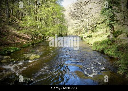 Blick entlang der Osten Lyn River Trail zu Watersmeet Haus Stockfoto