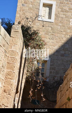 Ein morgendlicher Ausflug in die südliche Wanderung in Tel Aviv. Die Einführung ist vor allem in der Jaffa-Gegend und auf dem Weg findet neben Landschaften zum Meer als auch Stockfoto