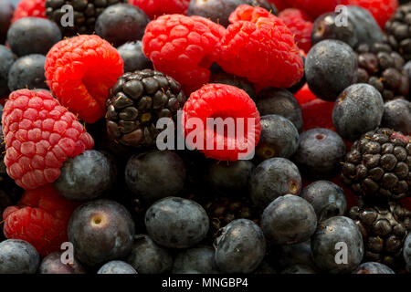 Fresh juicy organic blueberries, raspberries, blackberries, close up image Stockfoto