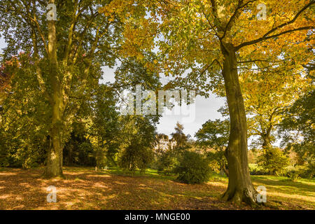 Blick auf Batsworth House, A Victorian mock Tudor Stil Landhaus, Batsford Park, Moreton-in-Marsh, Gloucestershire durch Oak Tree Woodland Stockfoto