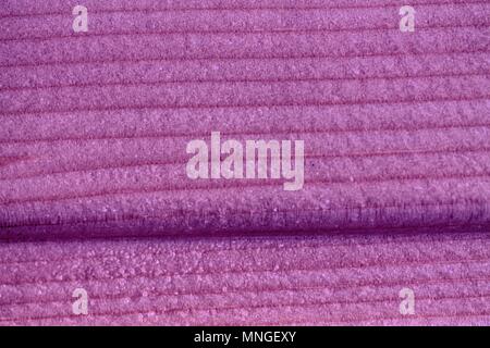 Ultra Violet Holz- Textur, leere Holz Hintergrund. Stockfoto