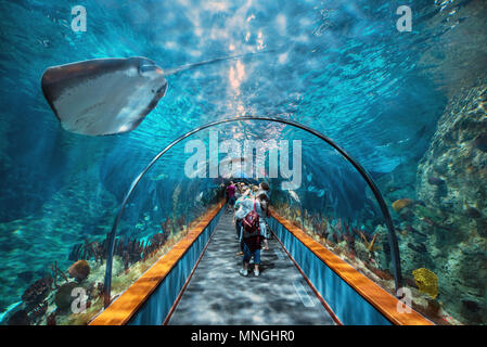 Teneriffa, Spanien - Mai 4, 2018: Aquatische Tunnel in den Loro parque Aquarium am 4. Mai 2018 in Teneriffa, Spanien. Stockfoto